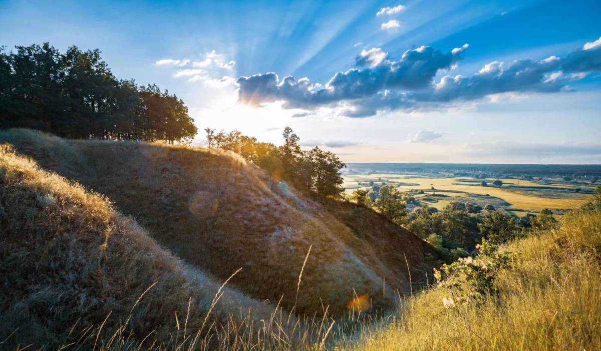 Oni Nie Chcą Abyś Dowiedział Się Jak kupić elektronikę!