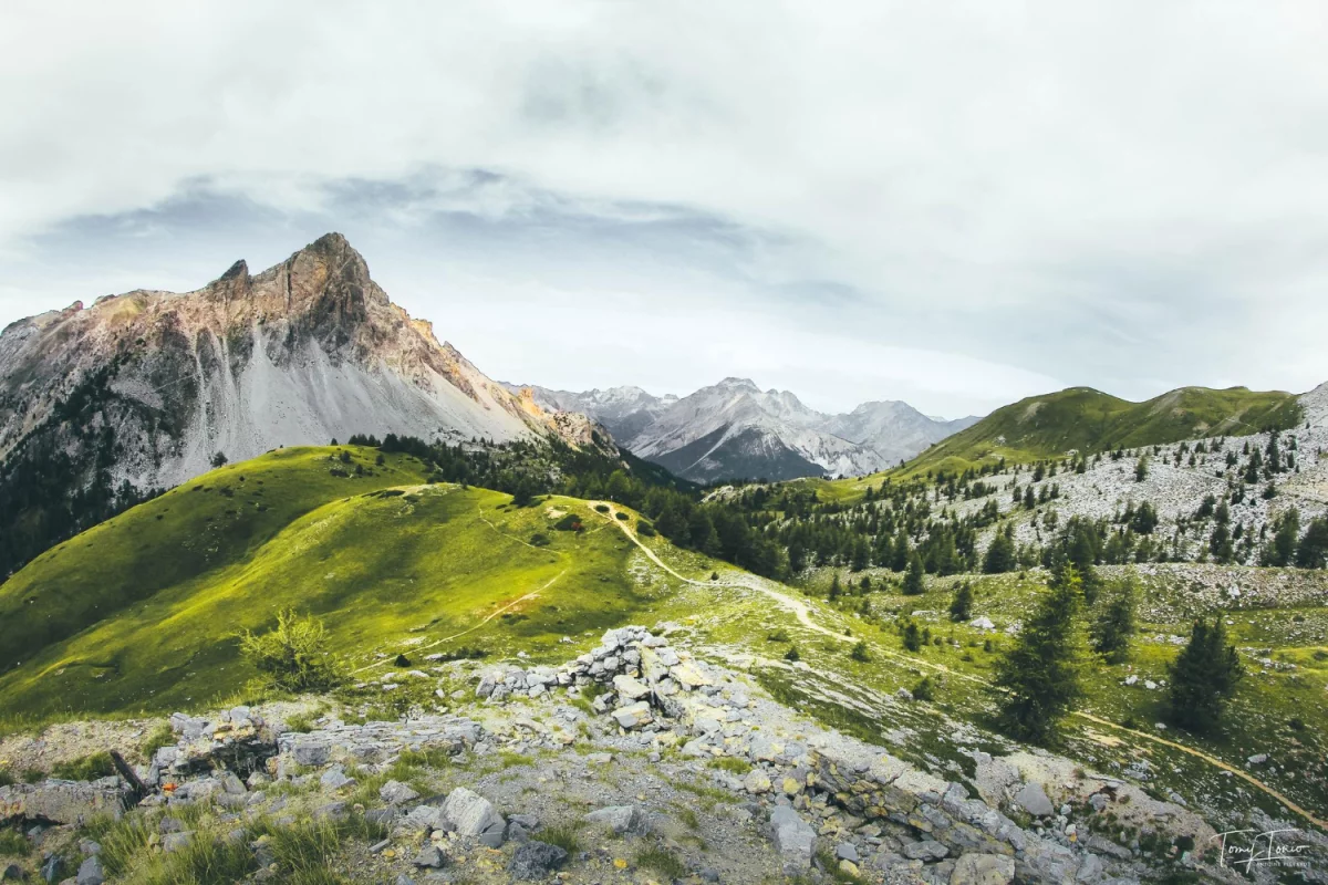  Will you be able to rent a car for a wedding in 2022? 