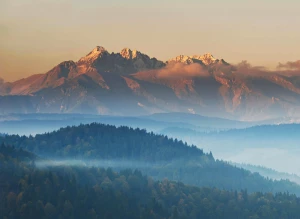 Dlaczego warto znaleźć dentystę w Cieszynie?
