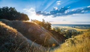 Czy warto wdrożyć GOZ do końca 2025