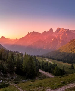 Czy 2022 będzie dobry dla ogób które chcą gotować wegańsko?